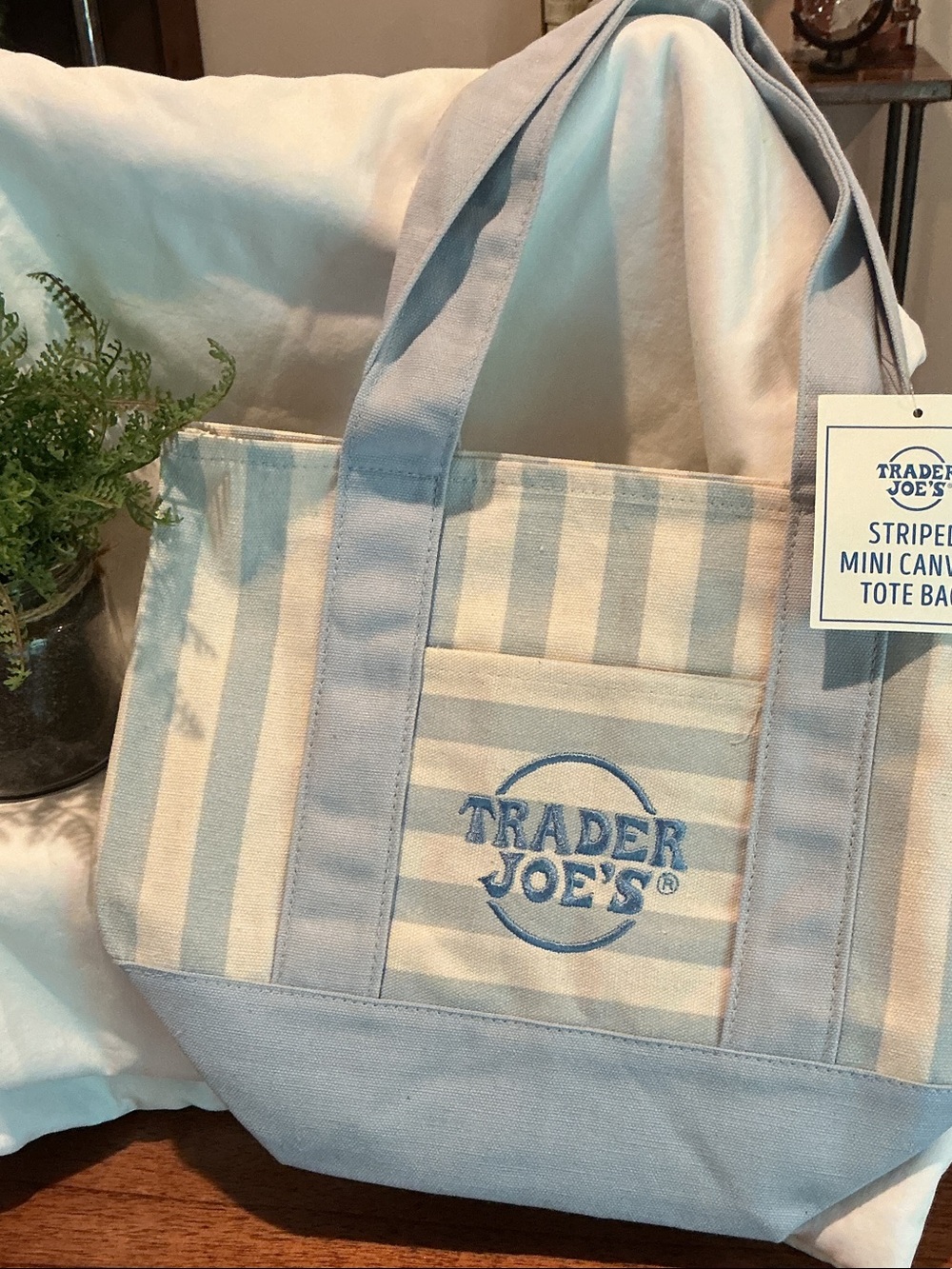 Trader Joe’s Striped Canvas Mini Tote -
Pastel Blue